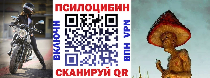 Галлюциногенные грибы Cubensis  Зубцов 
